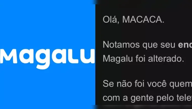 Cliente é chamada de “macaca” em e-mail do Magazine Luiza