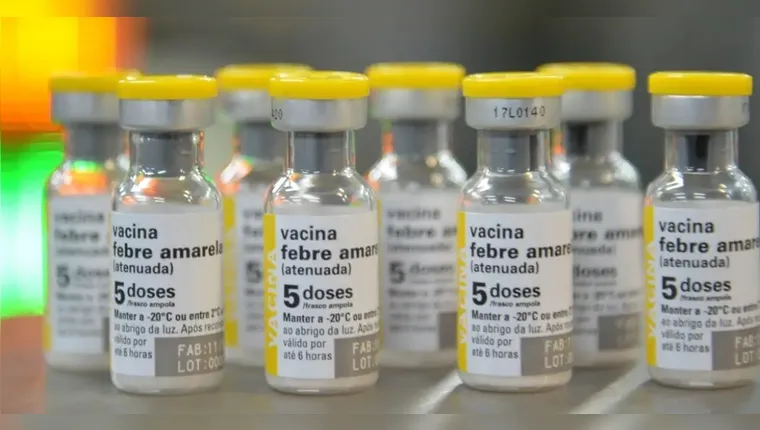 Brasil confirma 1º caso de febre amarela em humanos em 2025