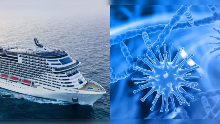 224 dos 2.538 passageiros e 17 tripulantes apresentaram sintomas da infecção estomacal | Reprodução