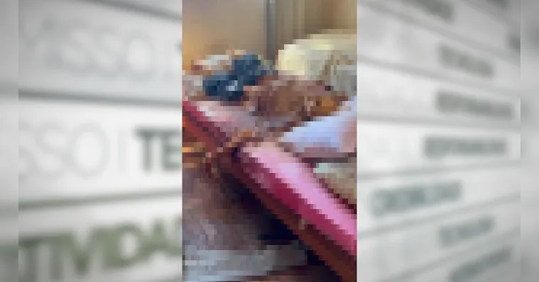 Filhos são presos no RJ por manterem cadáver do pai em casa