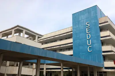 Seduc abre inscrições para seleção de estagiários-bolsistas de nível superior