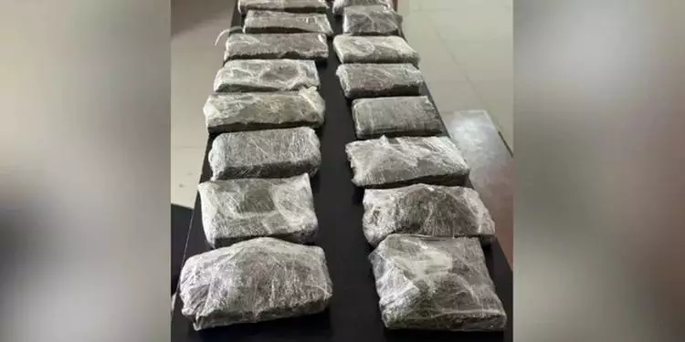 Mais de 1,6 kg de maconha são apreendidos e jovem é presa em Parauapebas. (Reprodução/ Correio de Carajás)