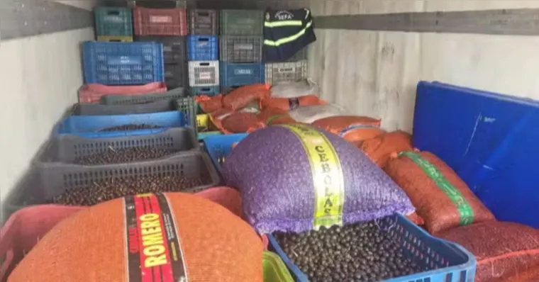 Carga com mais de 43 toneladas de açaí irregular são apreendidas no Pará