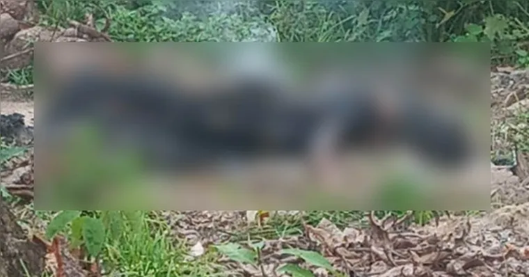 Polícia prende suspeito de matar e atear fogo em mulher na cidade de Jacundá