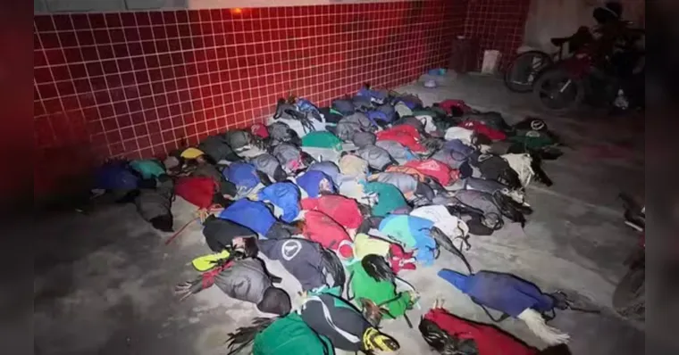 Galos são resgatados de rinha e mais de 50 pessoas são presas